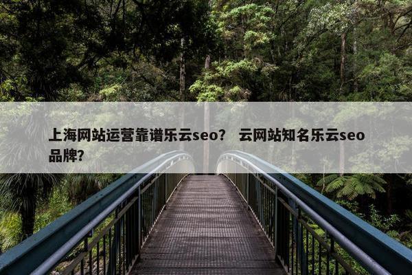 上海网站运营靠谱乐云seo？ 云网站知名乐云seo品牌？