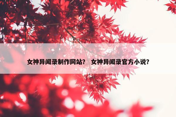 女神异闻录制作网站？ 女神异闻录官方小说？