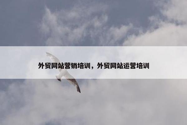 外贸网站营销培训，外贸网站运营培训