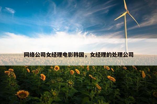 网络公司女经理电影韩国，女经理的处理公司