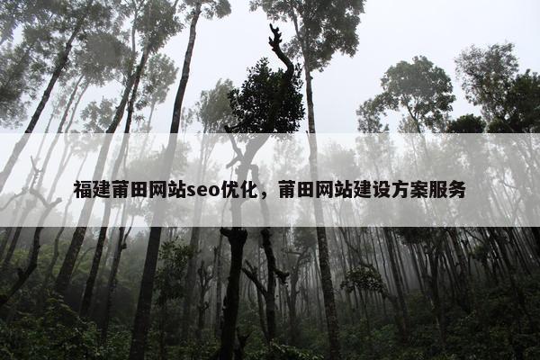 福建莆田网站seo优化，莆田网站建设方案服务