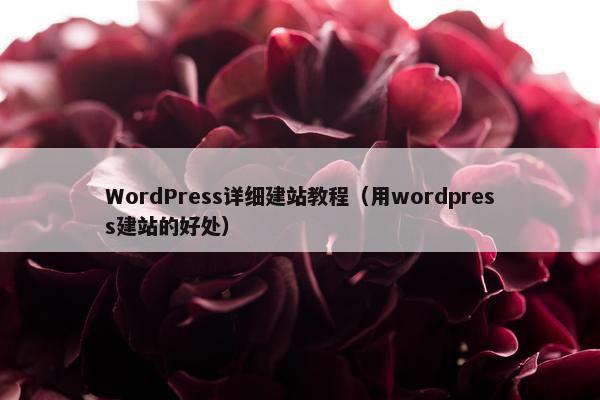 WordPress详细建站教程（用wordpress建站的好处）