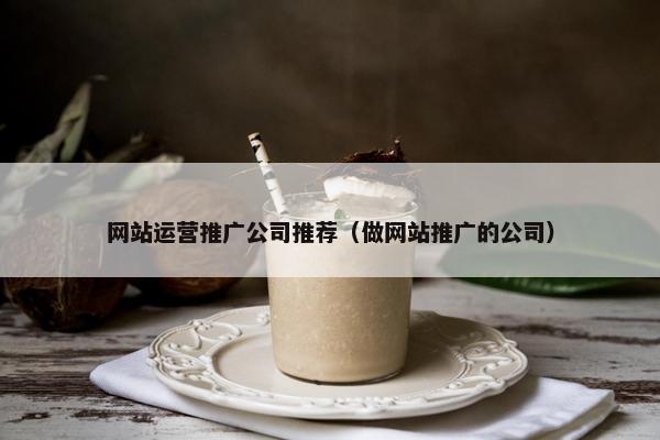 网站运营推广公司推荐（做网站推广的公司）