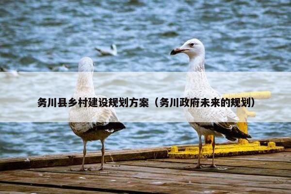 务川县乡村建设规划方案（务川政府未来的规划）