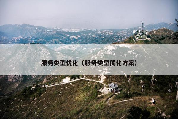 服务类型优化（服务类型优化方案）