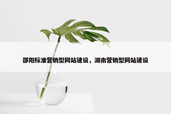 邵阳标准营销型网站建设，湖南营销型网站建设