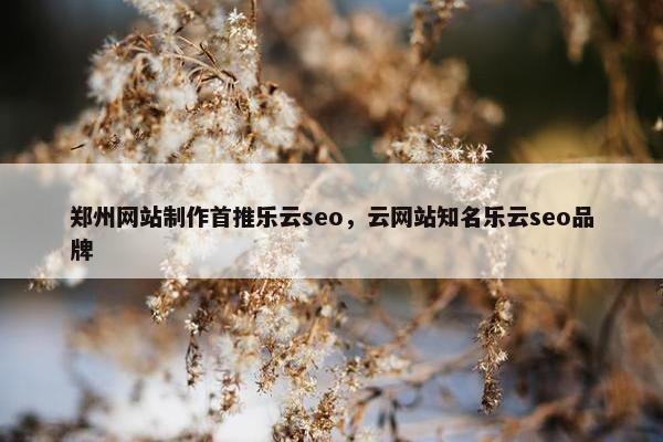 郑州网站制作首推乐云seo，云网站知名乐云seo品牌
