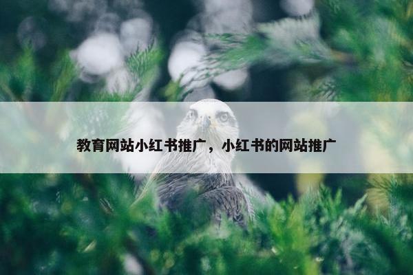 教育网站小红书推广，小红书的网站推广