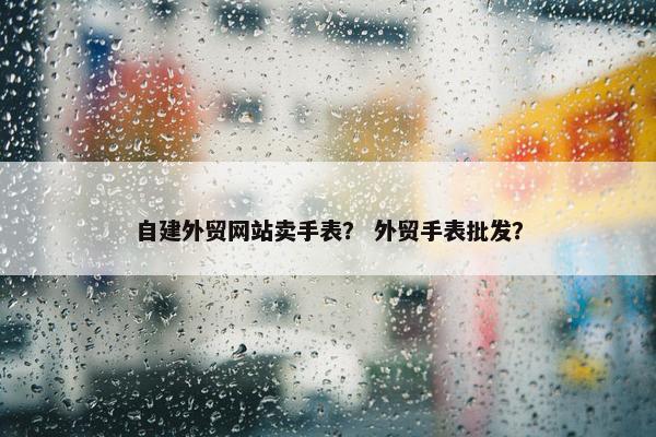 自建外贸网站卖手表？ 外贸手表批发？