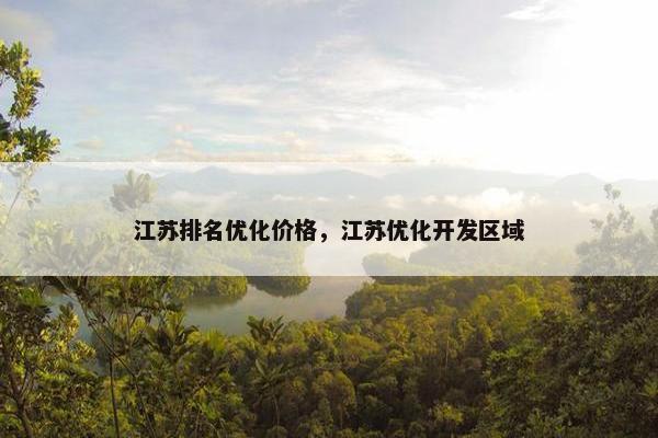 江苏排名优化价格，江苏优化开发区域