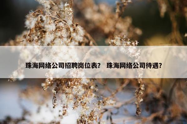 珠海网络公司招聘岗位表？ 珠海网络公司待遇？