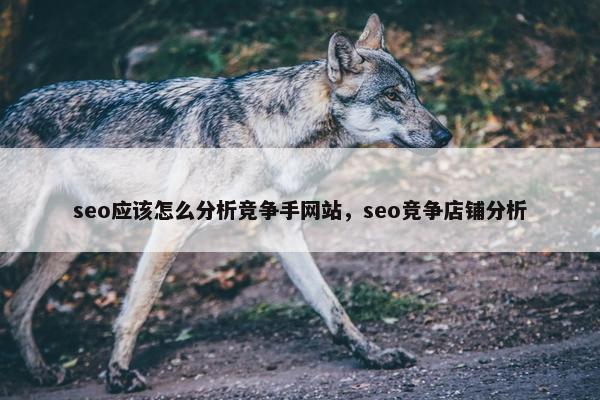 seo应该怎么分析竞争手网站，seo竞争店铺分析