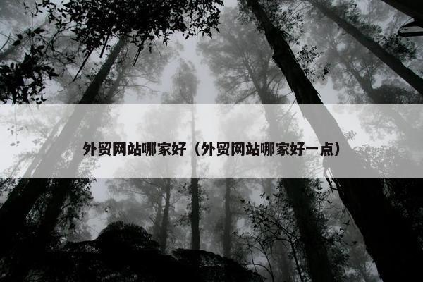 外贸网站哪家好（外贸网站哪家好一点）