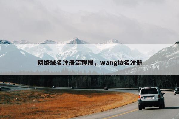 网络域名注册流程图，wang域名注册
