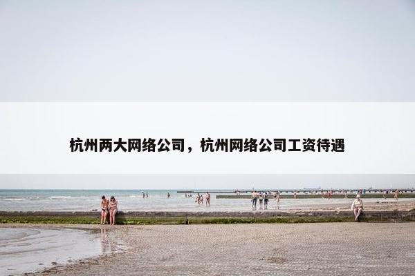 杭州两大网络公司，杭州网络公司工资待遇
