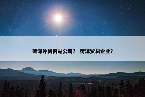 菏泽外贸网站公司？ 菏泽贸易企业？