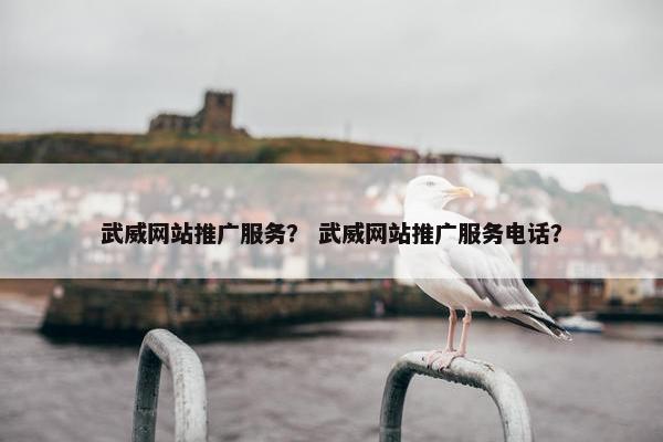 武威网站推广服务？ 武威网站推广服务电话？
