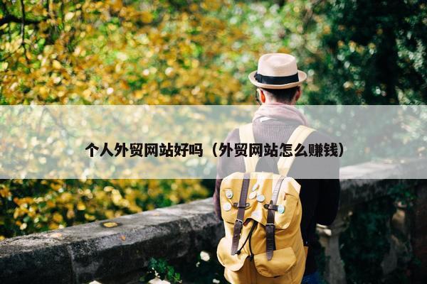 个人外贸网站好吗（外贸网站怎么赚钱）