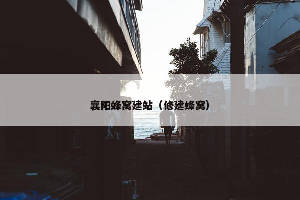 襄阳蜂窝建站（修建蜂窝）