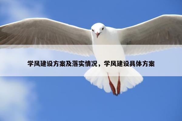 学风建设方案及落实情况，学风建设具体方案