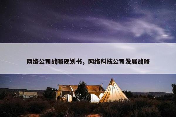 网络公司战略规划书，网络科技公司发展战略