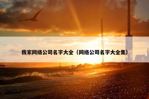 我家网络公司名字大全（网络公司名字大全集）