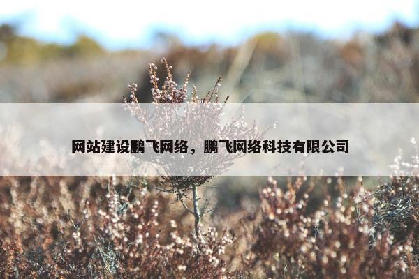 网站建设鹏飞网络，鹏飞网络科技有限公司
