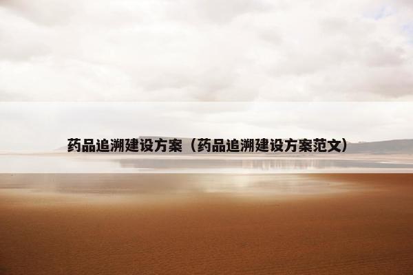 药品追溯建设方案（药品追溯建设方案范文）