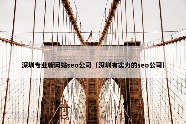 深圳专业新网站seo公司（深圳有实力的seo公司）