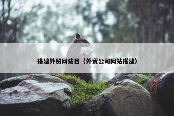 搭建外贸网站目（外贸公司网站搭建）