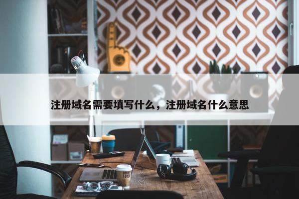 注册域名需要填写什么，注册域名什么意思
