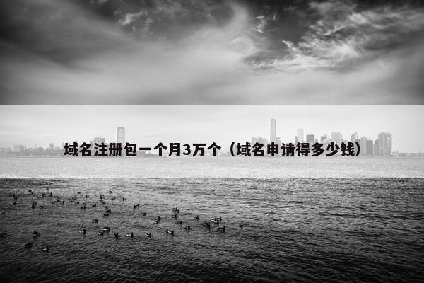 域名注册包一个月3万个（域名申请得多少钱）