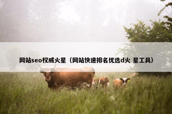 网站seo权威火星（网站快速排名优选d火 星工具）