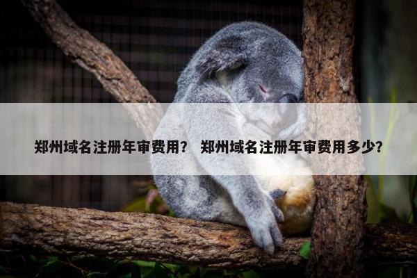 郑州域名注册年审费用？ 郑州域名注册年审费用多少？