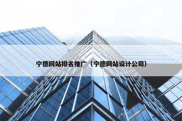 宁德网站排名推广（宁德网站设计公司）