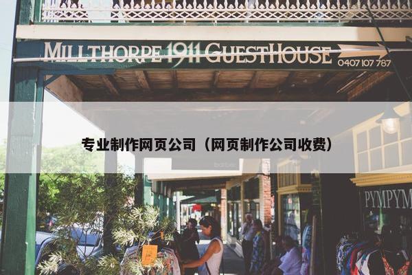 专业制作网页公司（网页制作公司收费）