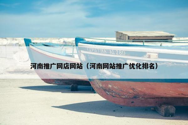 河南推广网店网站（河南网站推广优化排名）