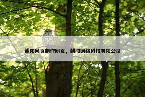 朝阳网页制作网页，朝阳网络科技有限公司