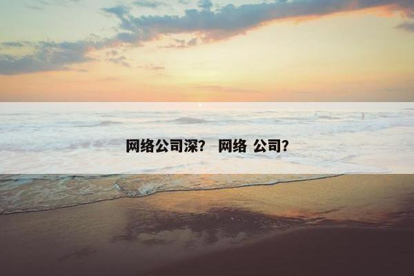 网络公司深？ 网络 公司？