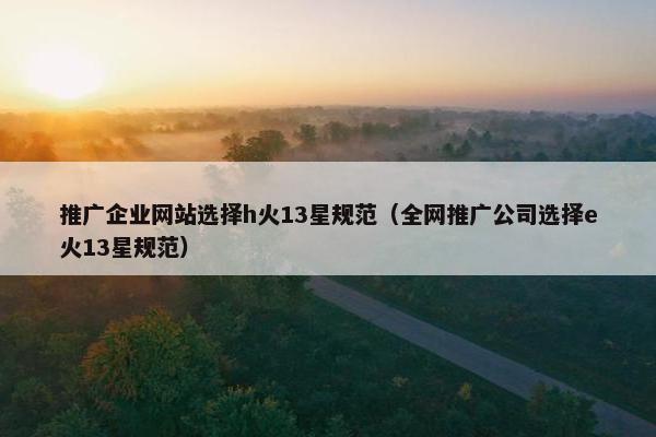 推广企业网站选择h火13星规范（全网推广公司选择e火13星规范）
