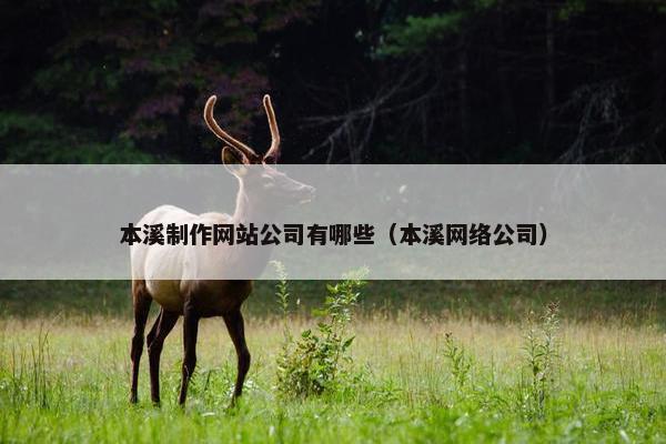 本溪制作网站公司有哪些（本溪网络公司）