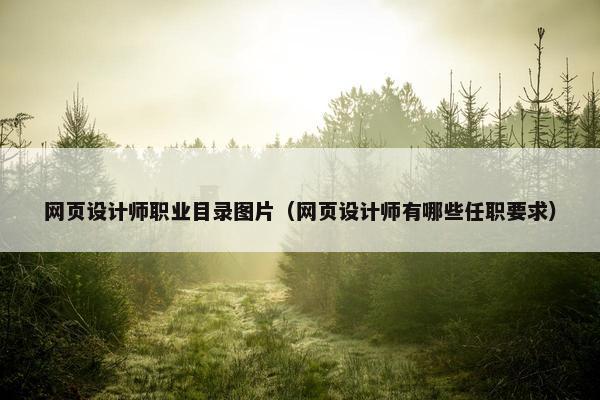 网页设计师职业目录图片（网页设计师有哪些任职要求）