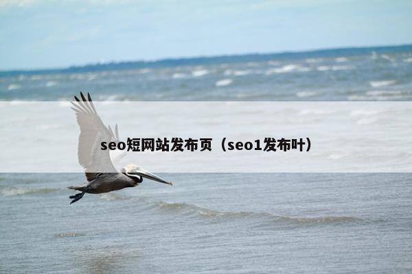 seo短网站发布页（seo1发布叶）