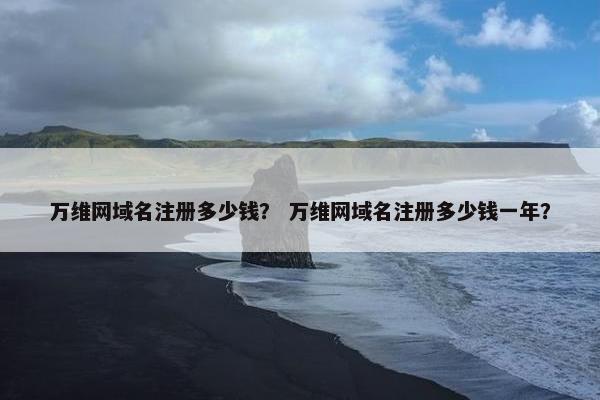 万维网域名注册多少钱？ 万维网域名注册多少钱一年？