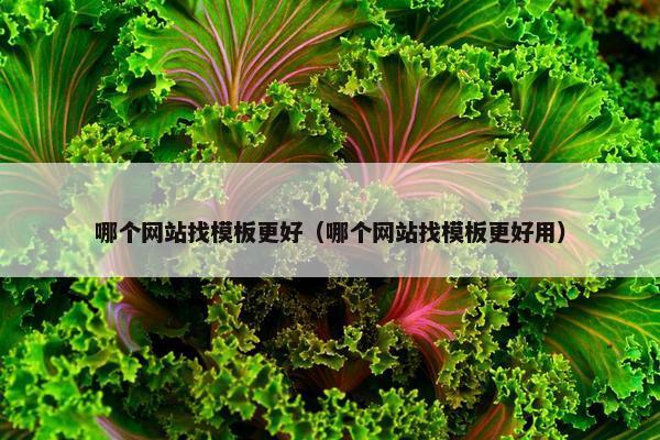 哪个网站找模板更好（哪个网站找模板更好用）