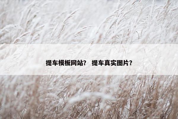 提车模板网站？ 提车真实图片？