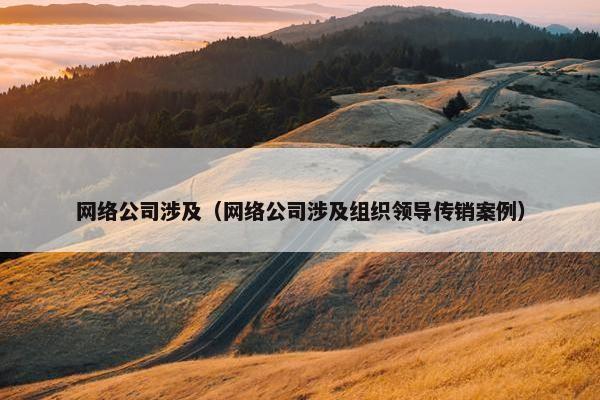 网络公司涉及（网络公司涉及组织领导传销案例）