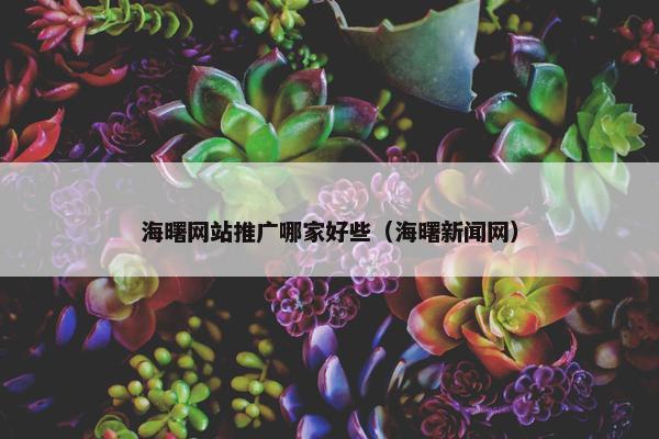 海曙网站推广哪家好些（海曙新闻网）