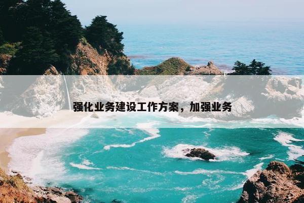 强化业务建设工作方案，加强业务