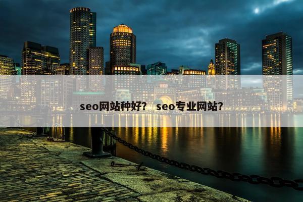 seo网站种好？ seo专业网站？